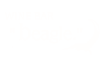 名古屋伏見のワインバーbeagle(ビーグル)