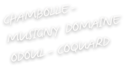 CHAMBOLLE-MUSIGNY