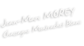 Chassagne Montrachet